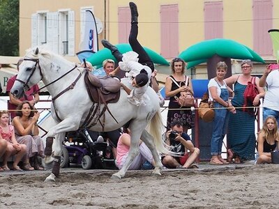 LA CAMARGUE A DIGNE, 0269