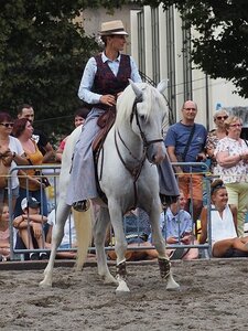 LA CAMARGUE A DIGNE, 0273