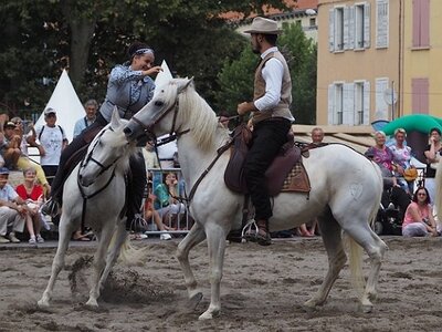 LA CAMARGUE A DIGNE, 0276