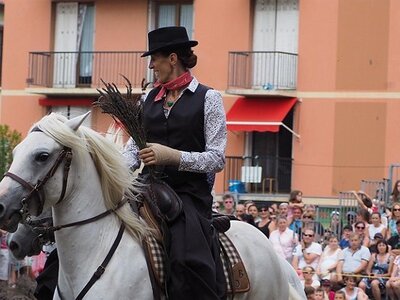 LA CAMARGUE A DIGNE, 0280
