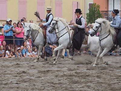 LA CAMARGUE A DIGNE, 0289
