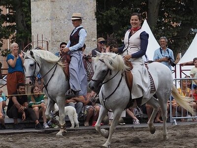 LA CAMARGUE A DIGNE, 0291