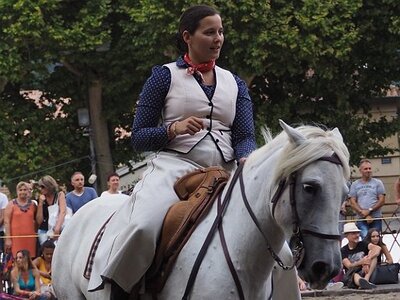 LA CAMARGUE A DIGNE, 0294