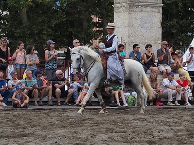LA CAMARGUE A DIGNE, 0295