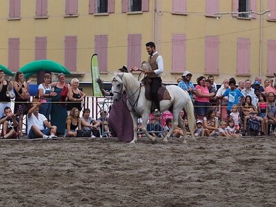 LA CAMARGUE A DIGNE, 0296