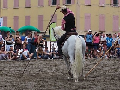 LA CAMARGUE A DIGNE, 0299