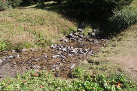 2019-0826 GR 738, Source du Gargoton (1628 m)
