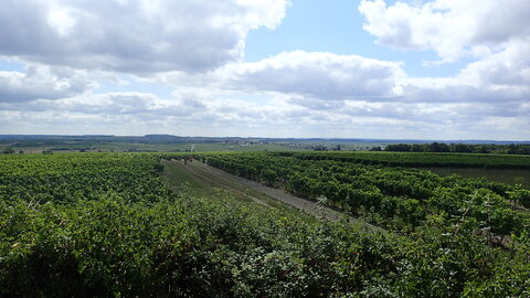 Semaine Fédérale 2019 Cognac, P8050016