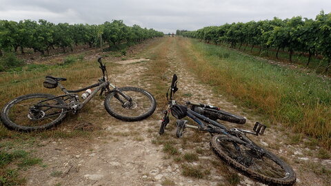 Semaine Fédérale 2019 Cognac, P8070018