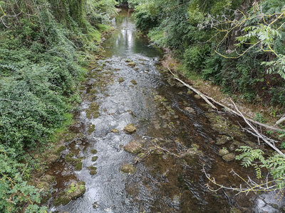 Virée - Loire à Vélo _16-21 aout 2o19, IMG_20190820_132208