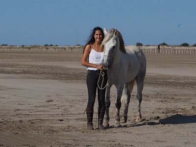 CAMARGUE CAVALIERES PORT ST LOUIS DU RHONE SALIN DE GIRAUD, 0017