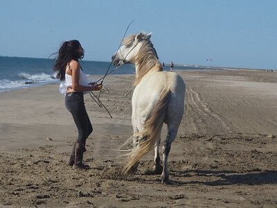 CAMARGUE CAVALIERES PORT ST LOUIS DU RHONE SALIN DE GIRAUD, 0019