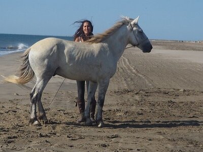 CAMARGUE CAVALIERES PORT ST LOUIS DU RHONE SALIN DE GIRAUD, 0020