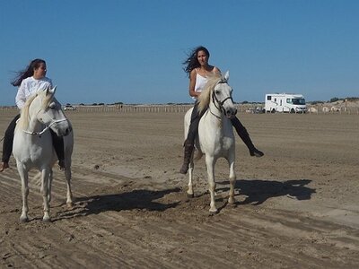 CAMARGUE CAVALIERES PORT ST LOUIS DU RHONE SALIN DE GIRAUD, 0040