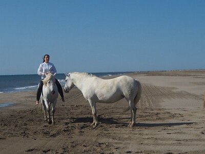 CAMARGUE CAVALIERES PORT ST LOUIS DU RHONE SALIN DE GIRAUD, 0049