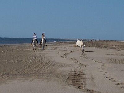 CAMARGUE CAVALIERES PORT ST LOUIS DU RHONE SALIN DE GIRAUD, 0051