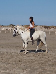 CAMARGUE CAVALIERES PORT ST LOUIS DU RHONE SALIN DE GIRAUD, 0057