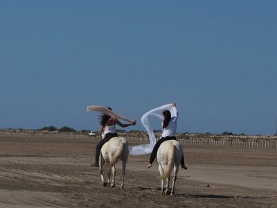 CAMARGUE CAVALIERES PORT ST LOUIS DU RHONE SALIN DE GIRAUD, 0063
