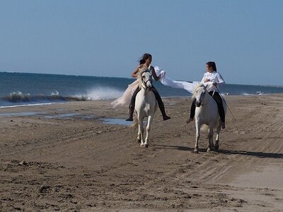 CAMARGUE CAVALIERES PORT ST LOUIS DU RHONE SALIN DE GIRAUD, 0067