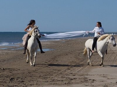 CAMARGUE CAVALIERES PORT ST LOUIS DU RHONE SALIN DE GIRAUD, 0068