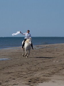 CAMARGUE CAVALIERES PORT ST LOUIS DU RHONE SALIN DE GIRAUD, 0076