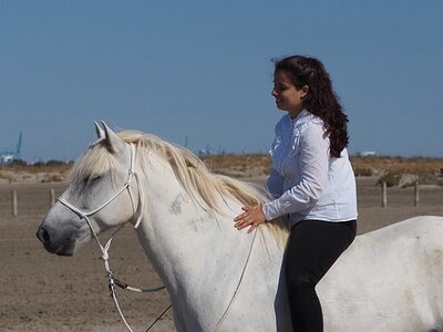 CAMARGUE CAVALIERES PORT ST LOUIS DU RHONE SALIN DE GIRAUD, 0079