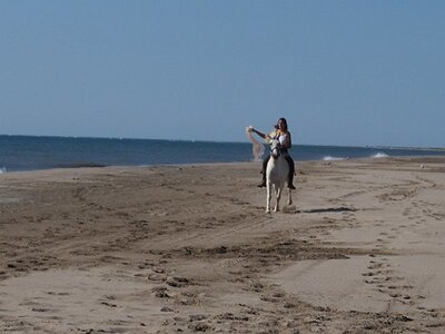 CAMARGUE CAVALIERES PORT ST LOUIS DU RHONE SALIN DE GIRAUD, 0080