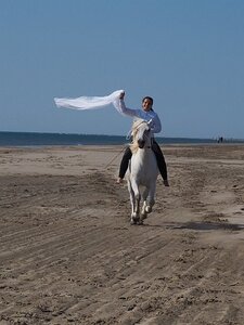 CAMARGUE CAVALIERES PORT ST LOUIS DU RHONE SALIN DE GIRAUD, 0093