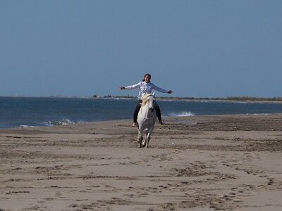 CAMARGUE CAVALIERES PORT ST LOUIS DU RHONE SALIN DE GIRAUD, 0101