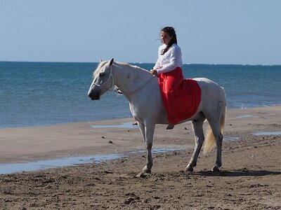 CAMARGUE CAVALIERES PORT ST LOUIS DU RHONE SALIN DE GIRAUD, 0110