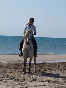CAMARGUE CAVALIERES PORT ST LOUIS DU RHONE SALIN DE GIRAUD, 0115