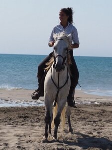 CAMARGUE CAVALIERES PORT ST LOUIS DU RHONE SALIN DE GIRAUD, 0117