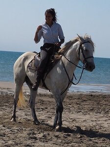 CAMARGUE CAVALIERES PORT ST LOUIS DU RHONE SALIN DE GIRAUD, 0118