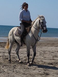 CAMARGUE CAVALIERES PORT ST LOUIS DU RHONE SALIN DE GIRAUD, 0121