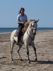 CAMARGUE CAVALIERES PORT ST LOUIS DU RHONE SALIN DE GIRAUD, 0122