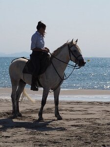 CAMARGUE CAVALIERES PORT ST LOUIS DU RHONE SALIN DE GIRAUD, 0130
