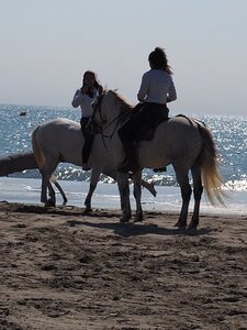 CAMARGUE CAVALIERES PORT ST LOUIS DU RHONE SALIN DE GIRAUD, 0133