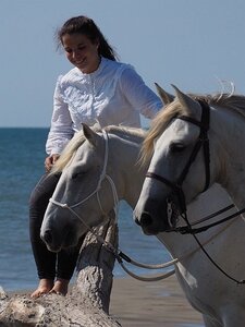 CAMARGUE CAVALIERES PORT ST LOUIS DU RHONE SALIN DE GIRAUD, 0140