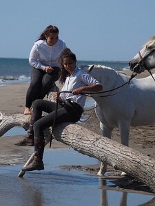 CAMARGUE CAVALIERES PORT ST LOUIS DU RHONE SALIN DE GIRAUD, 0146