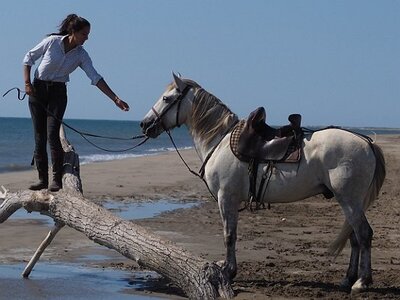 CAMARGUE CAVALIERES PORT ST LOUIS DU RHONE SALIN DE GIRAUD, 0152
