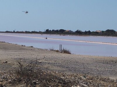 CAMARGUE CAVALIERES PORT ST LOUIS DU RHONE SALIN DE GIRAUD, 0008