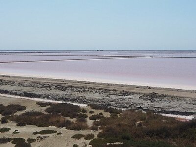 CAMARGUE CAVALIERES PORT ST LOUIS DU RHONE SALIN DE GIRAUD, 0012