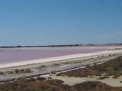 CAMARGUE CAVALIERES PORT ST LOUIS DU RHONE SALIN DE GIRAUD, 0014