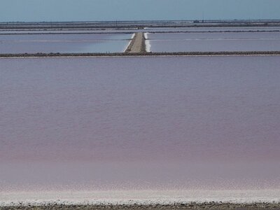 CAMARGUE CAVALIERES PORT ST LOUIS DU RHONE SALIN DE GIRAUD, 0015