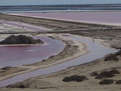 CAMARGUE CAVALIERES PORT ST LOUIS DU RHONE SALIN DE GIRAUD, 0016