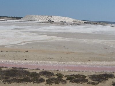 CAMARGUE CAVALIERES PORT ST LOUIS DU RHONE SALIN DE GIRAUD, 0019