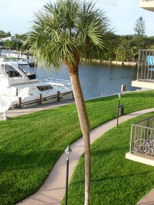 Britany Lachance, voyage Floride 2011 021