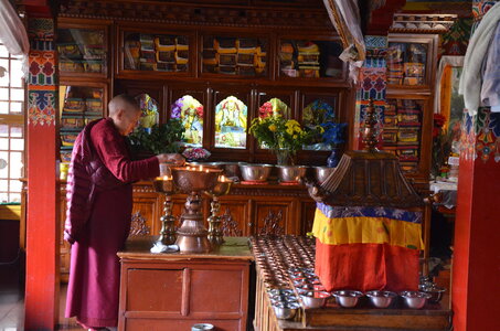 Tibet 2019 , J02_GDU_0236