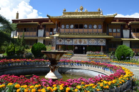 Tibet 2019 , J02_GDU_0278