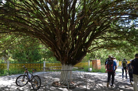 Tibet 2019 , J02_GDU_0286